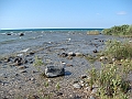 Western Michigan [2010] 838